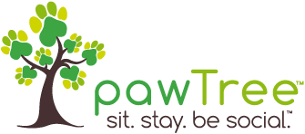 Special Announcement: We Are Now An Independent petPro for pawTree Products!