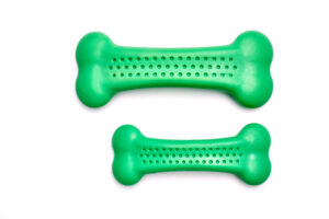 pawTree Chillaxx to the Max CBD Bone for dogs, calming chew on a neutral background